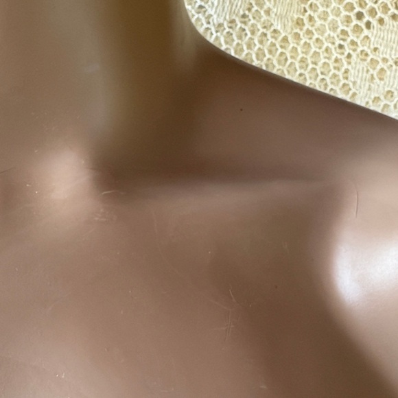 Beverly Johnson Mannequin Head - Picture 9 of 10